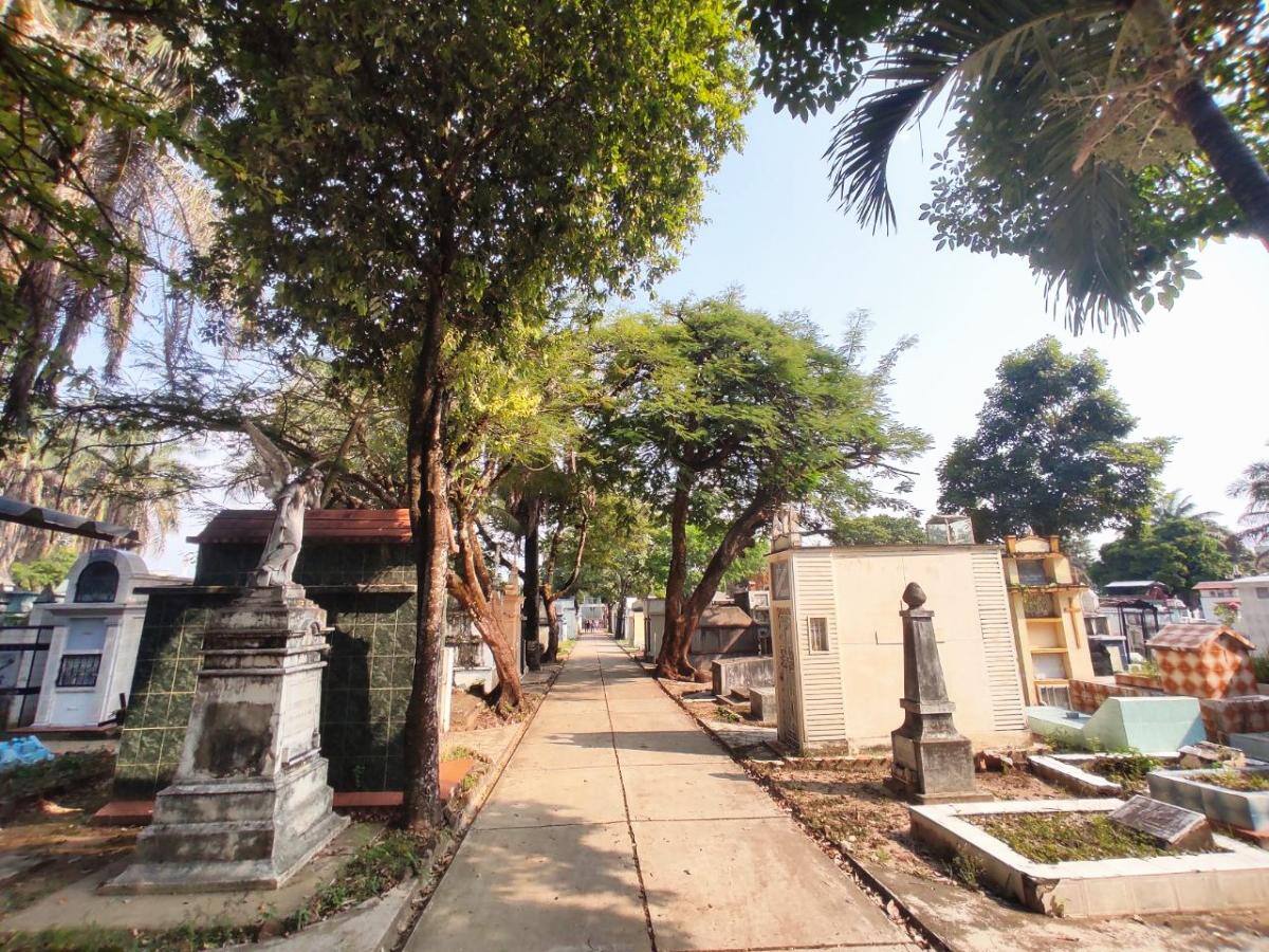 Unidad de Búsqueda intensifica labores en Cementerio Central de Neiva y entrega de cuerpos