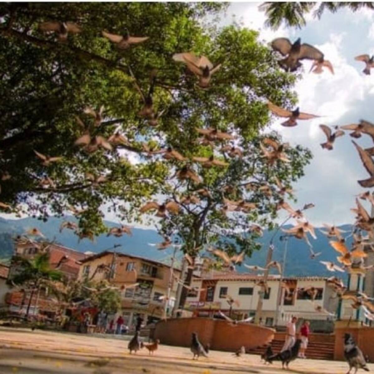 En la Estrella, Antioquia, los contratistas deben estar vacunados