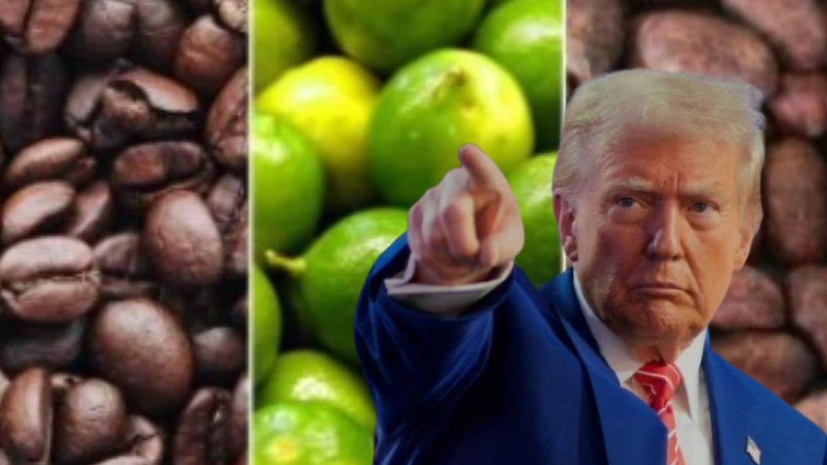 Marco Vásquez director de GPS.