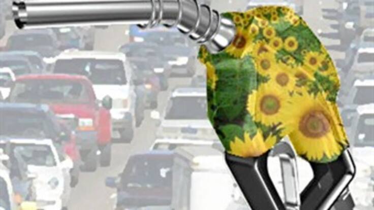 Ronda de ciudades: Uso de combustibles biológicos en Colombia