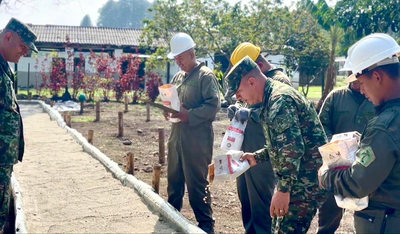 Sustitución de cultivos como estrategia en medio de la operación Perseo