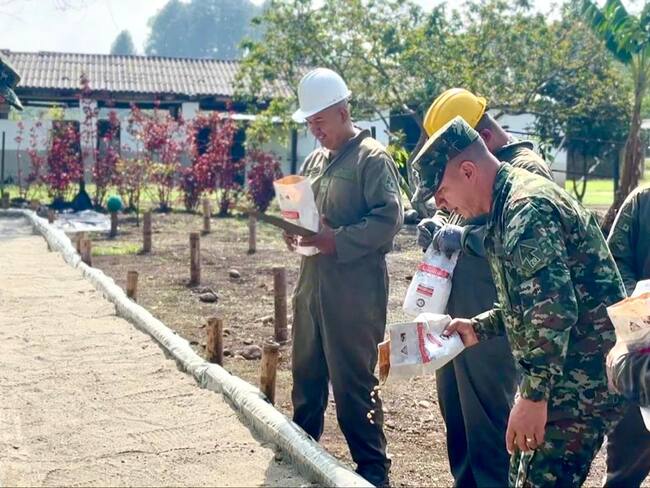 Sustitución de cultivos como estrategia en medio de la operación Perseo