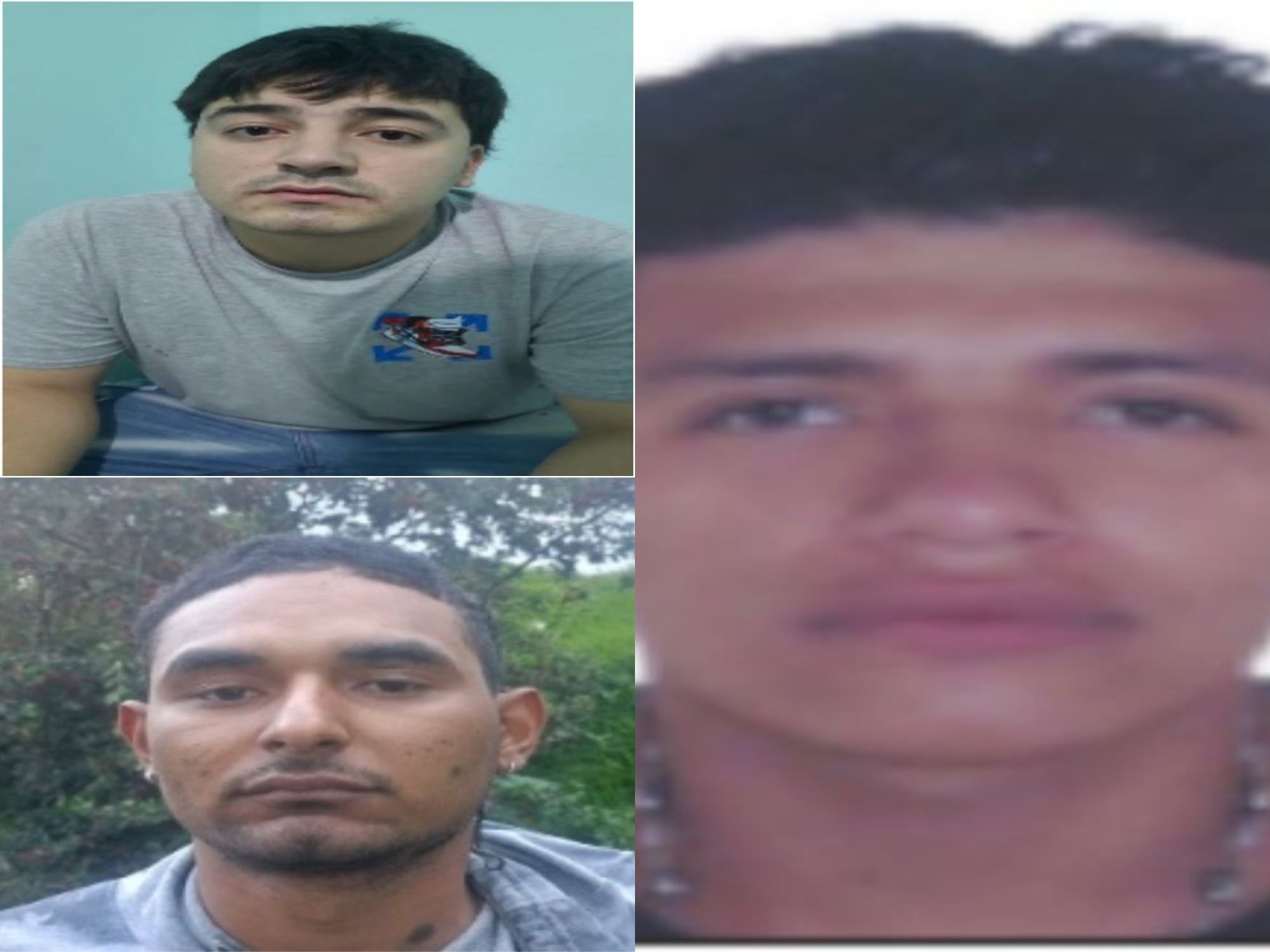 Alias ‘Tavo, ‘Nias’ y ‘El Panadero’