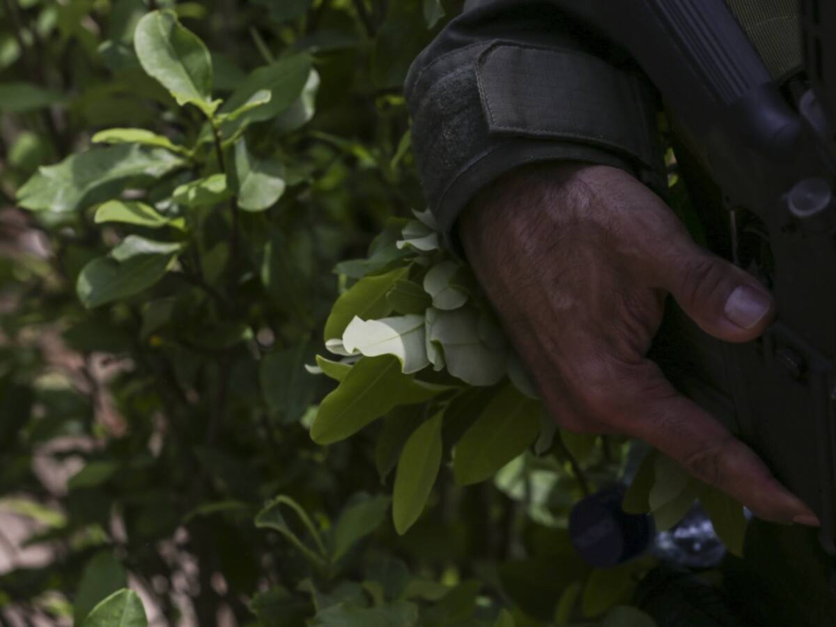 Cuatro policías heridos, un canino muerto por paro armado del ELN en Cúcuta