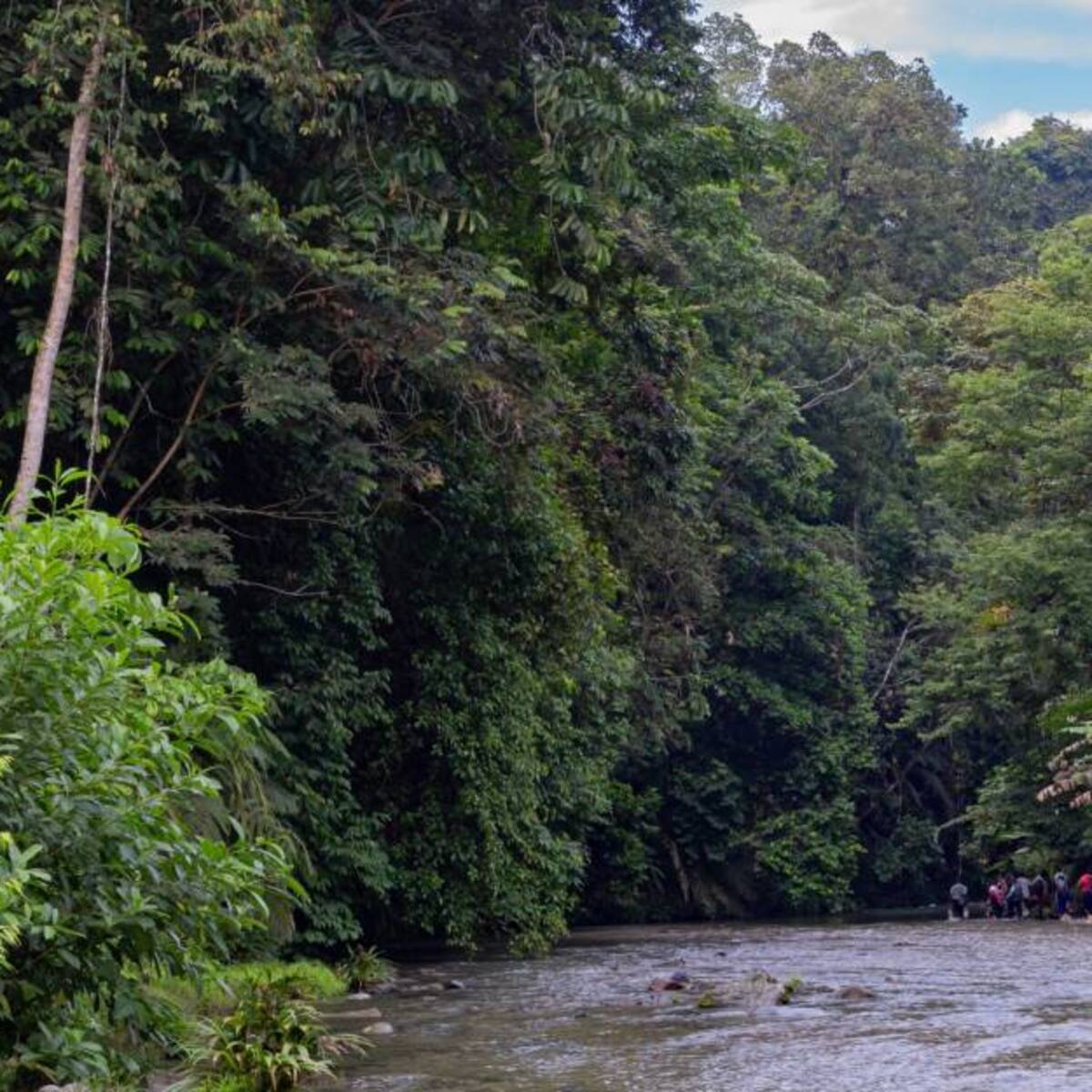 Procuraduría pidió garantizar DDHH de migrantes que cruzan por el Tapón del Darién