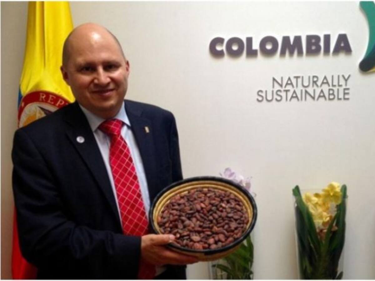 Ya viene “chocoshow”, para recorrer el mundo del cacao al chocolate