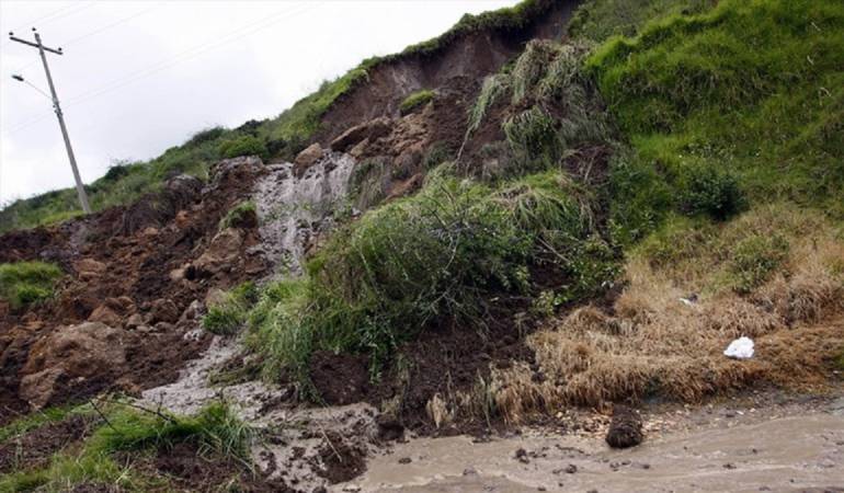 Imagen de Referencia 