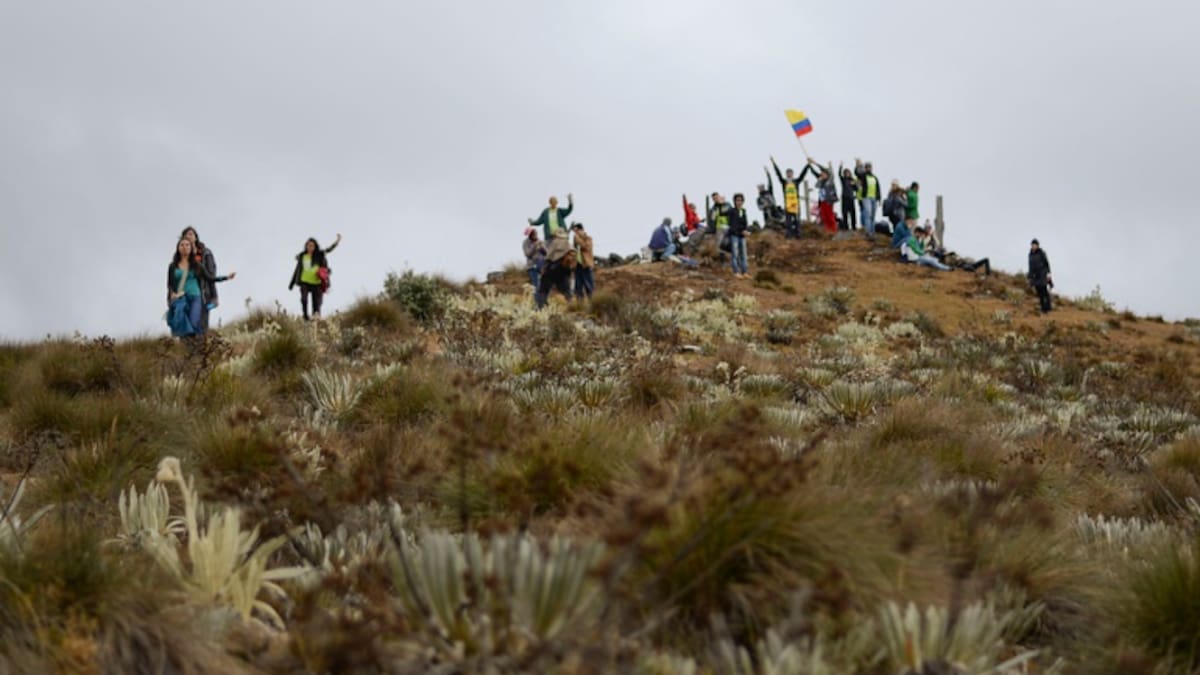 Tutela frenó delimitación del páramo de Pisba en Boyacá