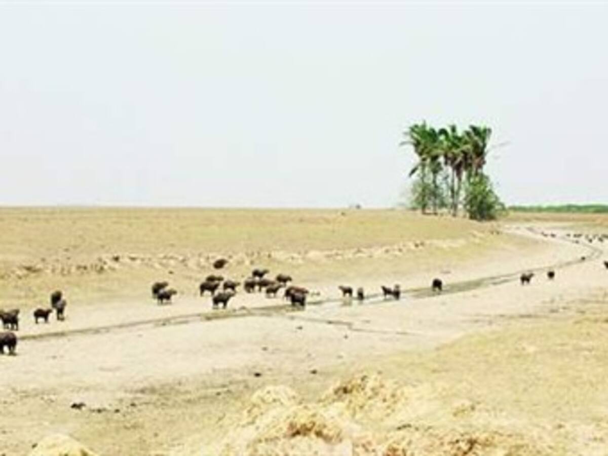 Convocan a manifestación por tragedia ambiental en Casanare