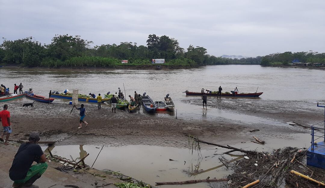 Baudó vuelve a sonreir con los negocios verdes