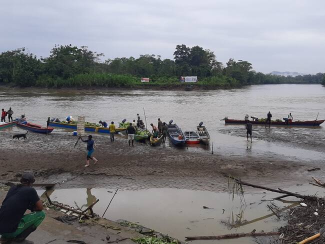 Baudó vuelve a sonreir con los negocios verdes