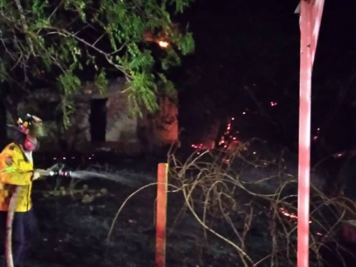 ¿Quiénes están detrás de los incendios en el cerro Ziruma?
