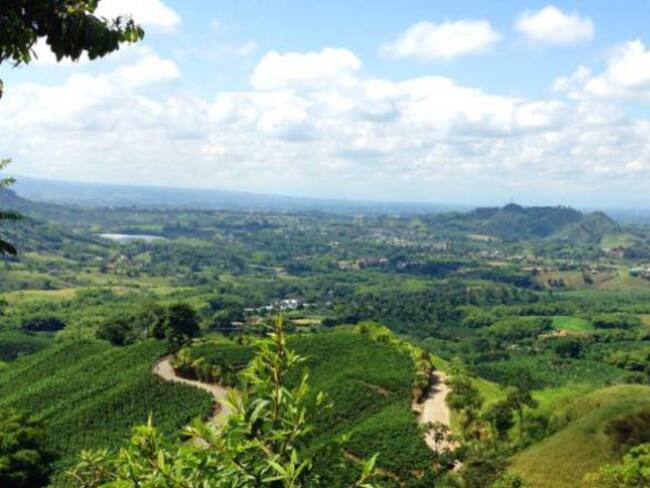 Más de 40 empresas interesadas en invertir en Risaralda