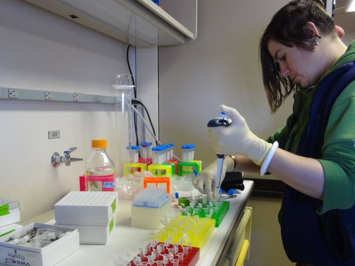 Día Internacional de la Mujer y la Niña en la Ciencia