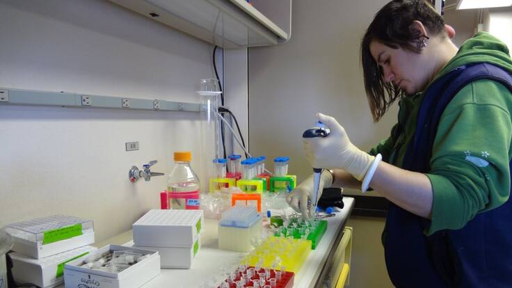 Día Internacional de la Mujer y la Niña en la Ciencia