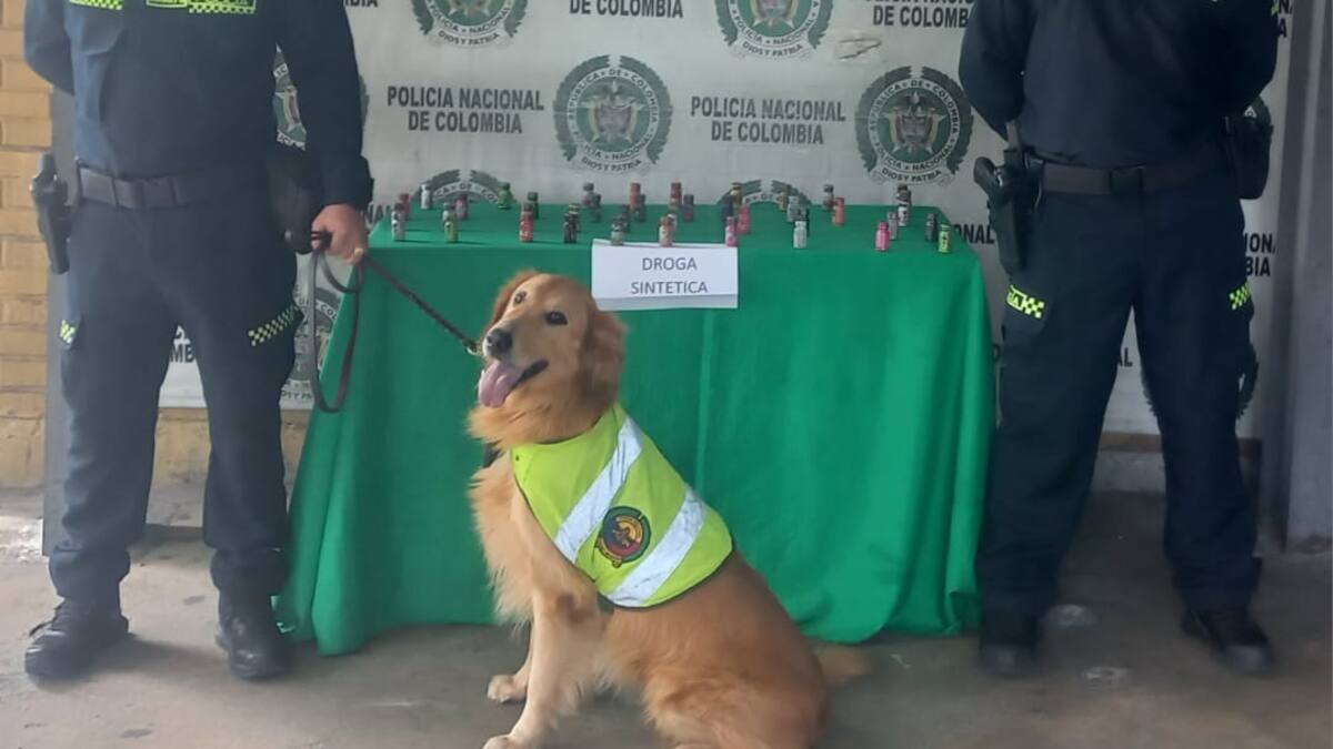 Coronel Luis Fernando Atuesta, comandante Policía, Quindío