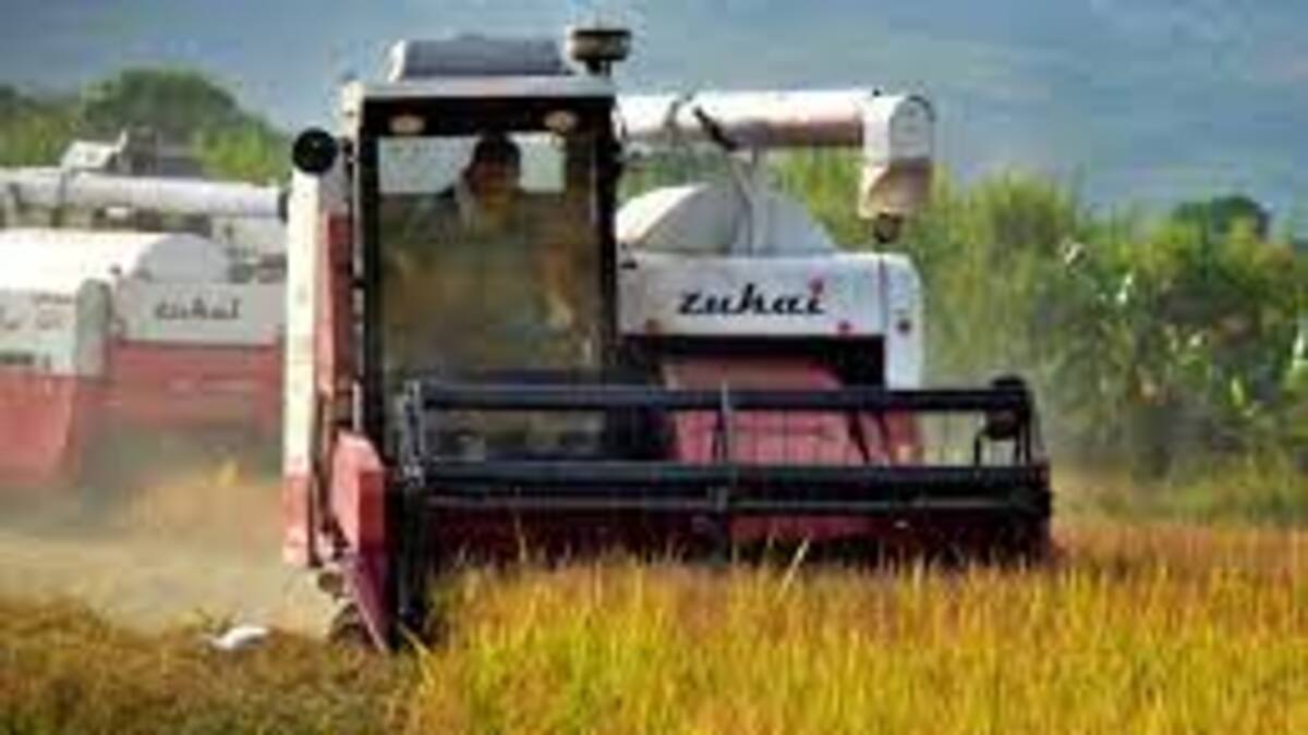 En el Huila arroceros terminan un año favorable en producción y venta del cereal