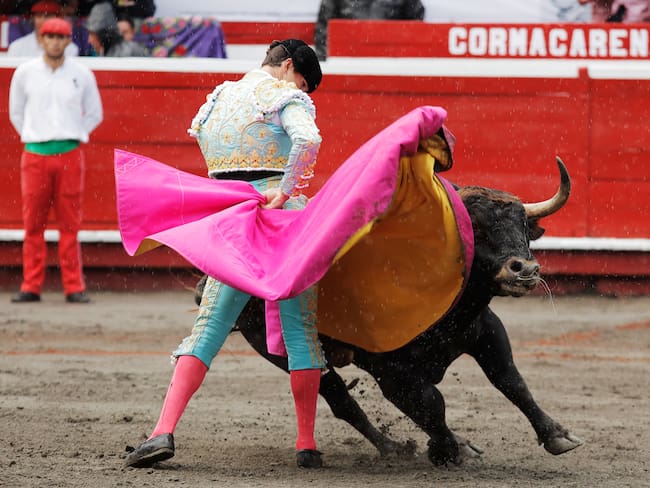 ¿Buscan tumbar la prohibición de las corridas de toros? Congresistas debatieron sobre polémica