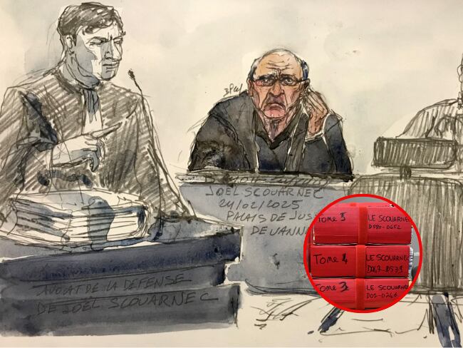 Juicio contra Joël Le Scouarnec.