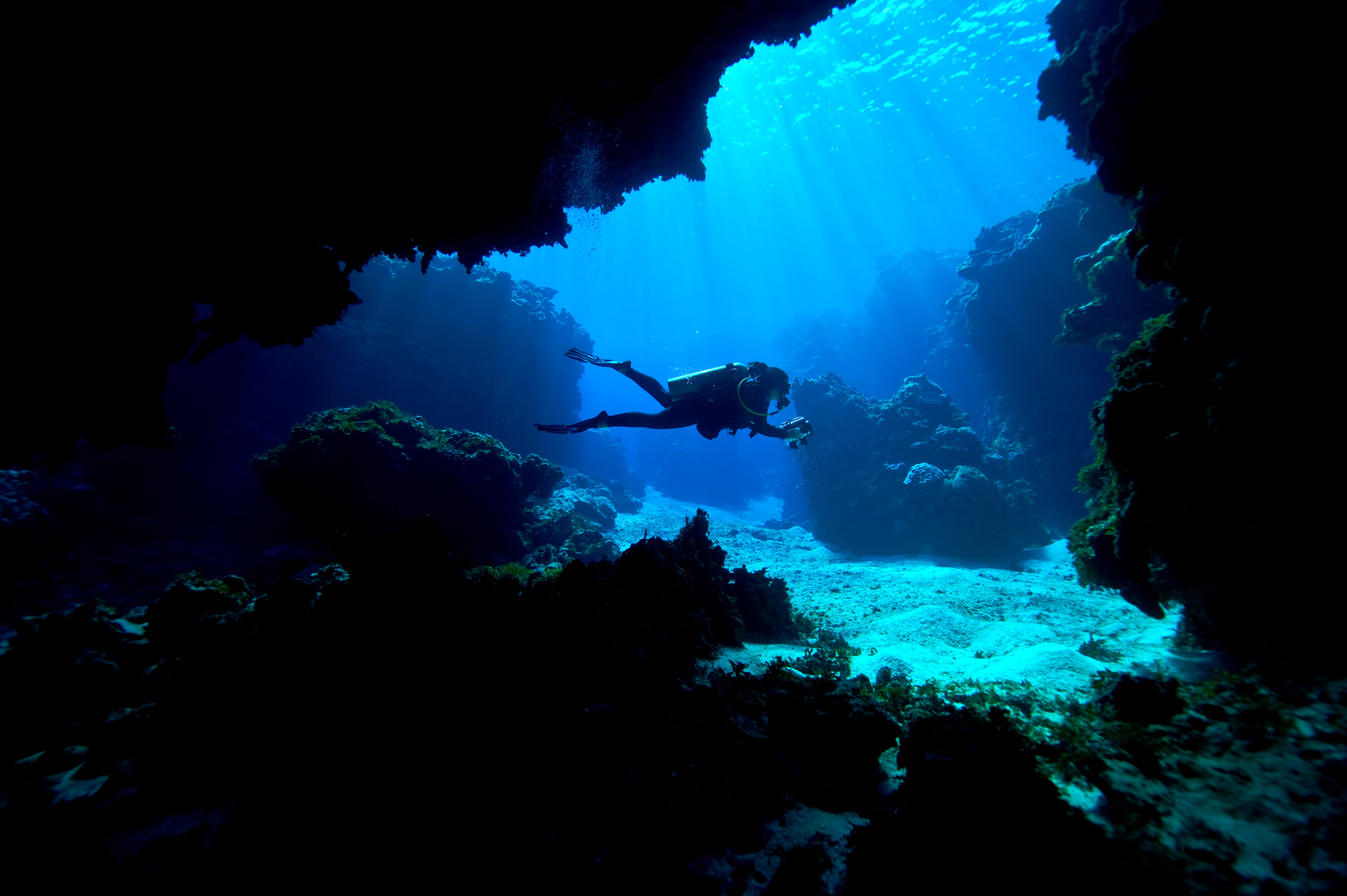Buceo en Colombia | Kokod Point, Ringgold Isles Archipelago, Pacific Ocean, Fiji Islands.
