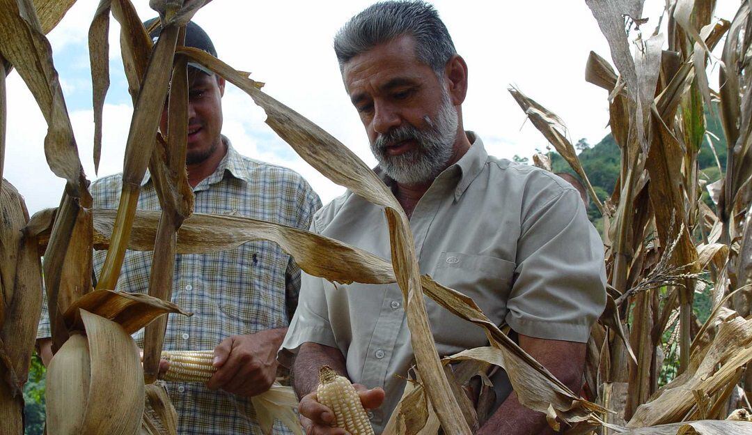 La actividad tiene el propósito de construir un plan articulado que permita al país reducir las importaciones de maíz.