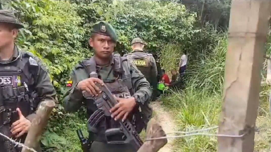 Niño muere al ser atacado por perros