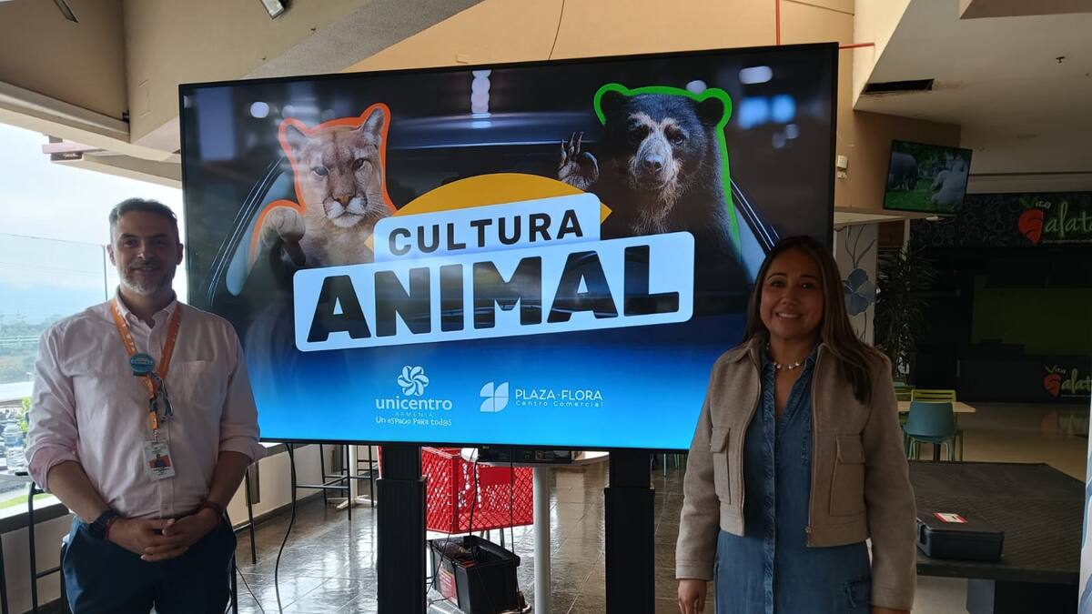 Informe campaña cultura animal en Armenia
