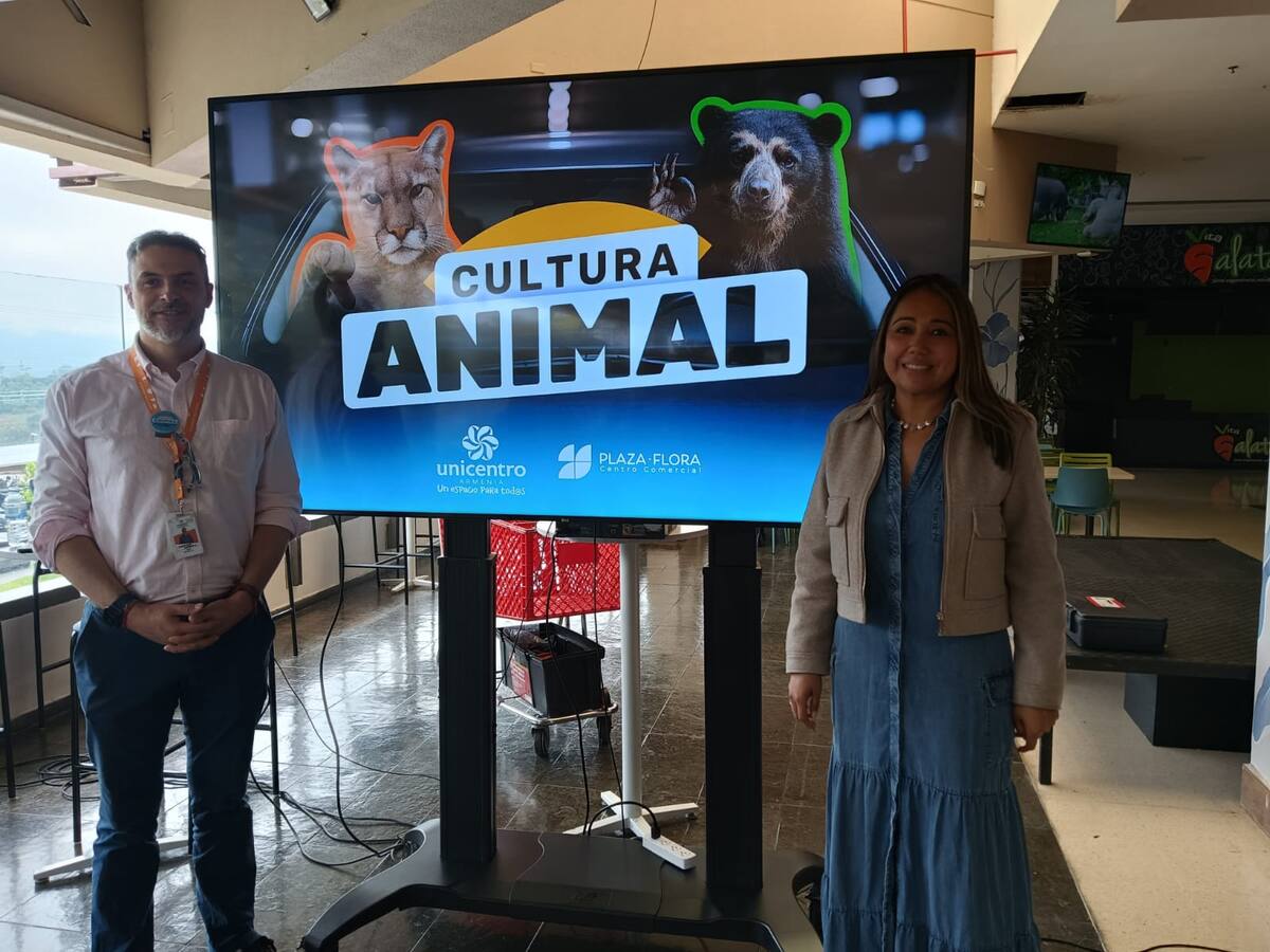 Cultura Animal, centros comerciales en Armenia y campaña de cultura ciudadana contra el mal parqueo