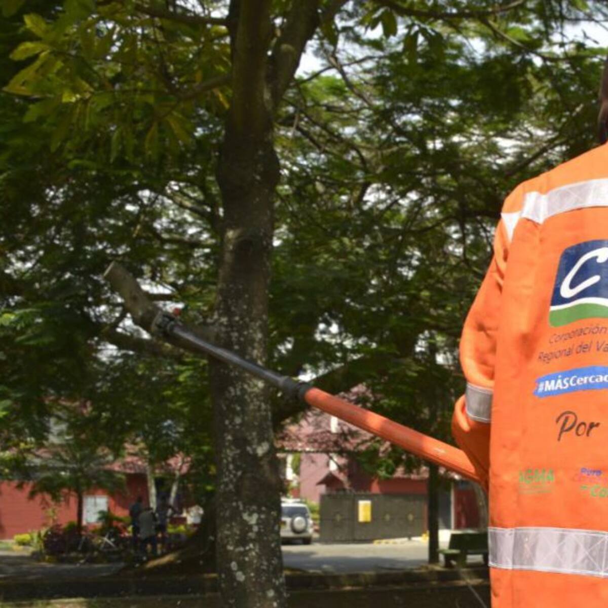 CVC invierte recursos de Sobretasa Ambiental en recuperación arbórea