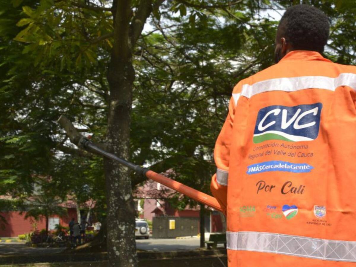 CVC invierte recursos de Sobretasa Ambiental en recuperación arbórea
