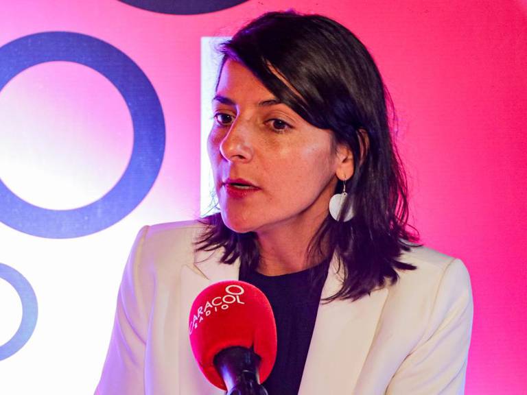 Ministra de Minas, Irene Vélez