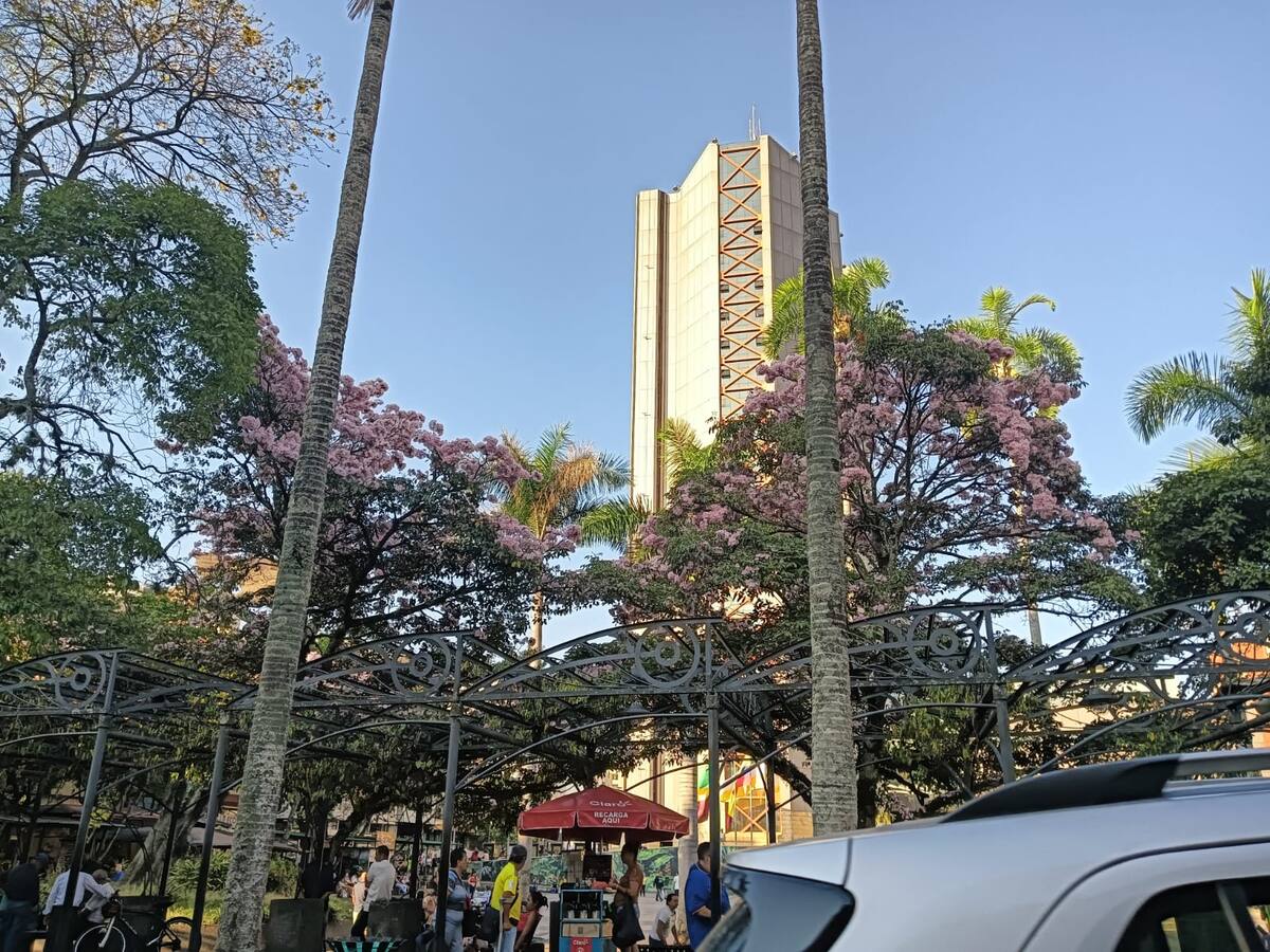 Vuelve y juega, gobernación remite acuerdos del concejo de Armenia al Tribunal del Quindío