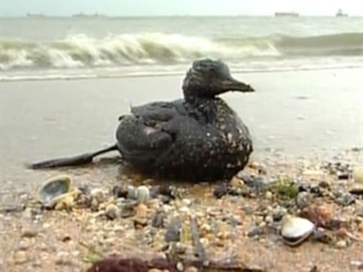 Científicos desmienten cifras oficiales sobre derrame en Golfo de México