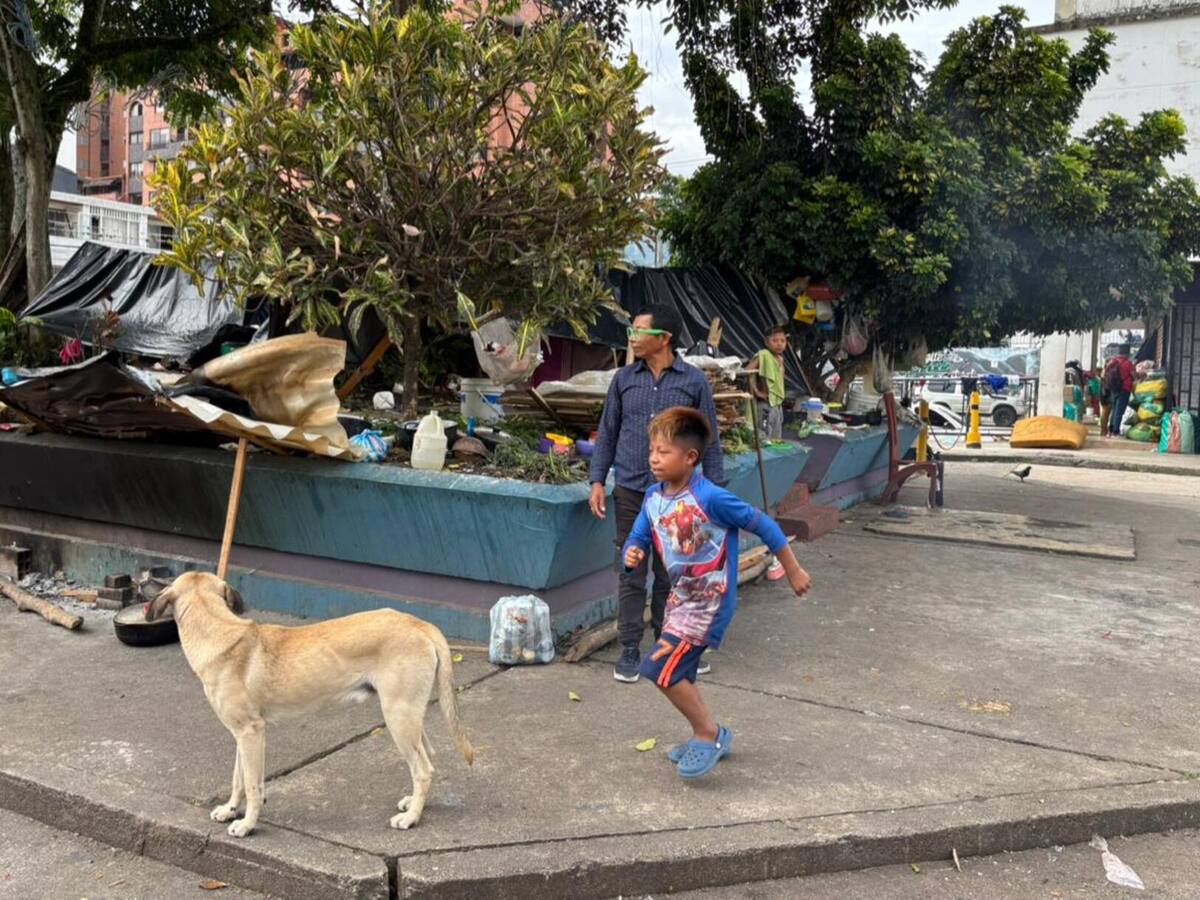 Situación de seguridad en Bagadó, Chocó, no permite traslado de familias Emberá desde Ibagué