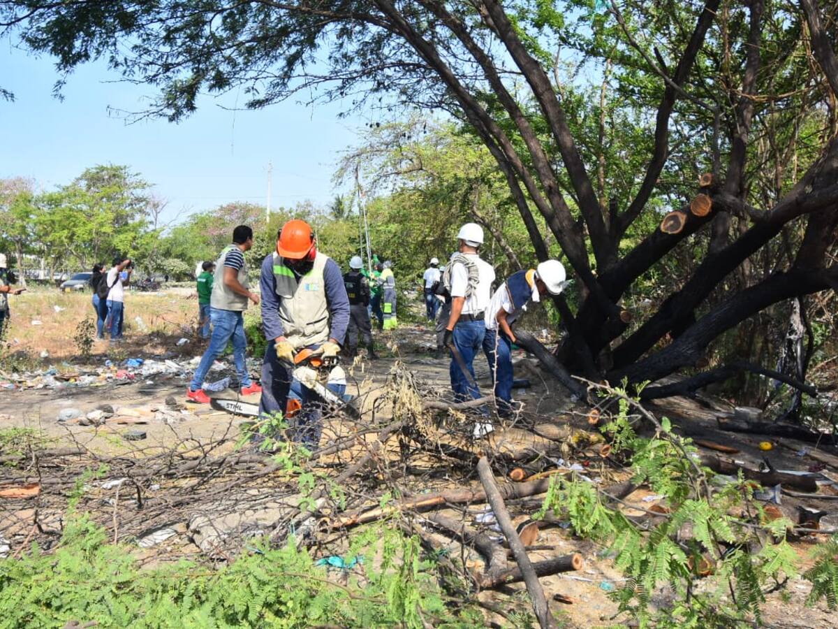 EPA Cartagena adelanta recuperación ambiental de zona degradada en Chambacú