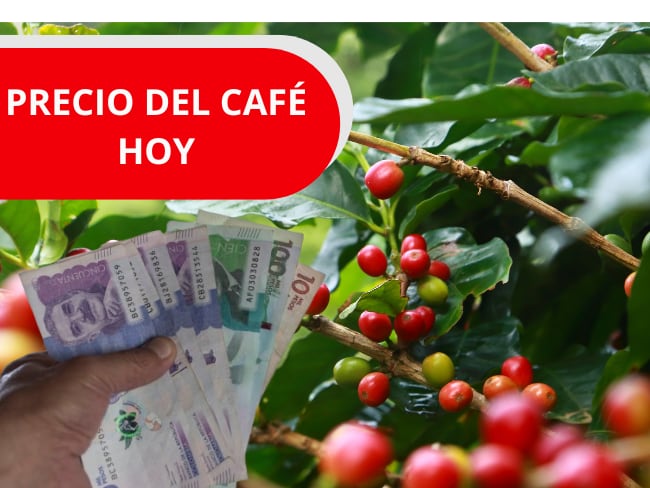 Imagen de referencia, foto Getty images y Canva