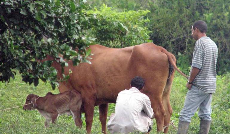 Varios sectores agropecuarios denuncian problemas por desabastecimiento