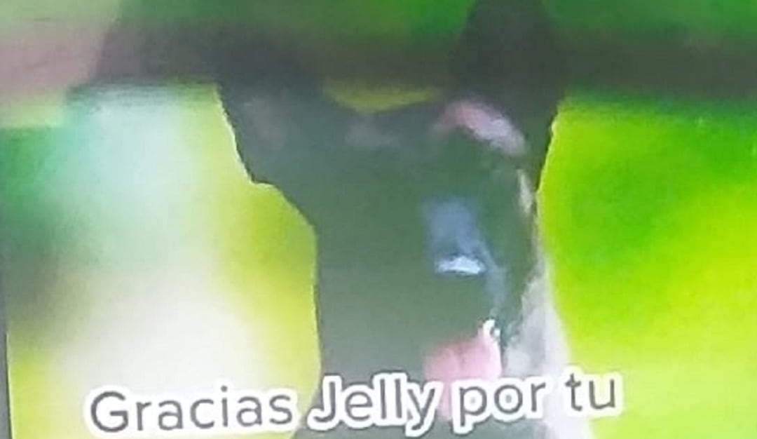 Canina antiexplosivos