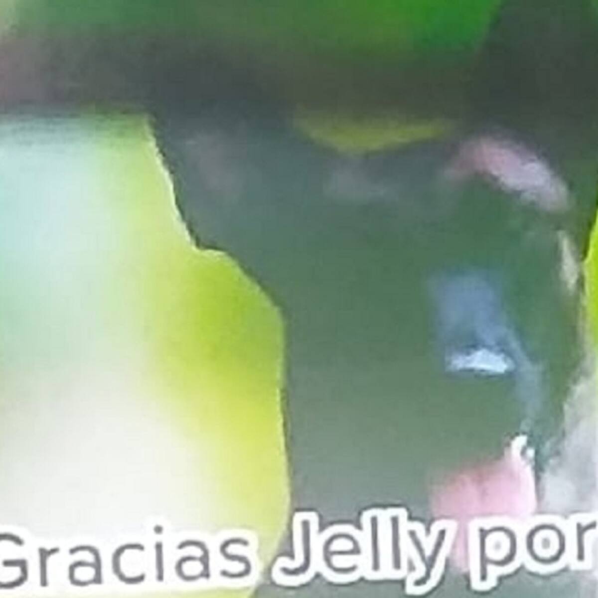 Canina antiexplosivos se convierte en héroe en Cúcuta