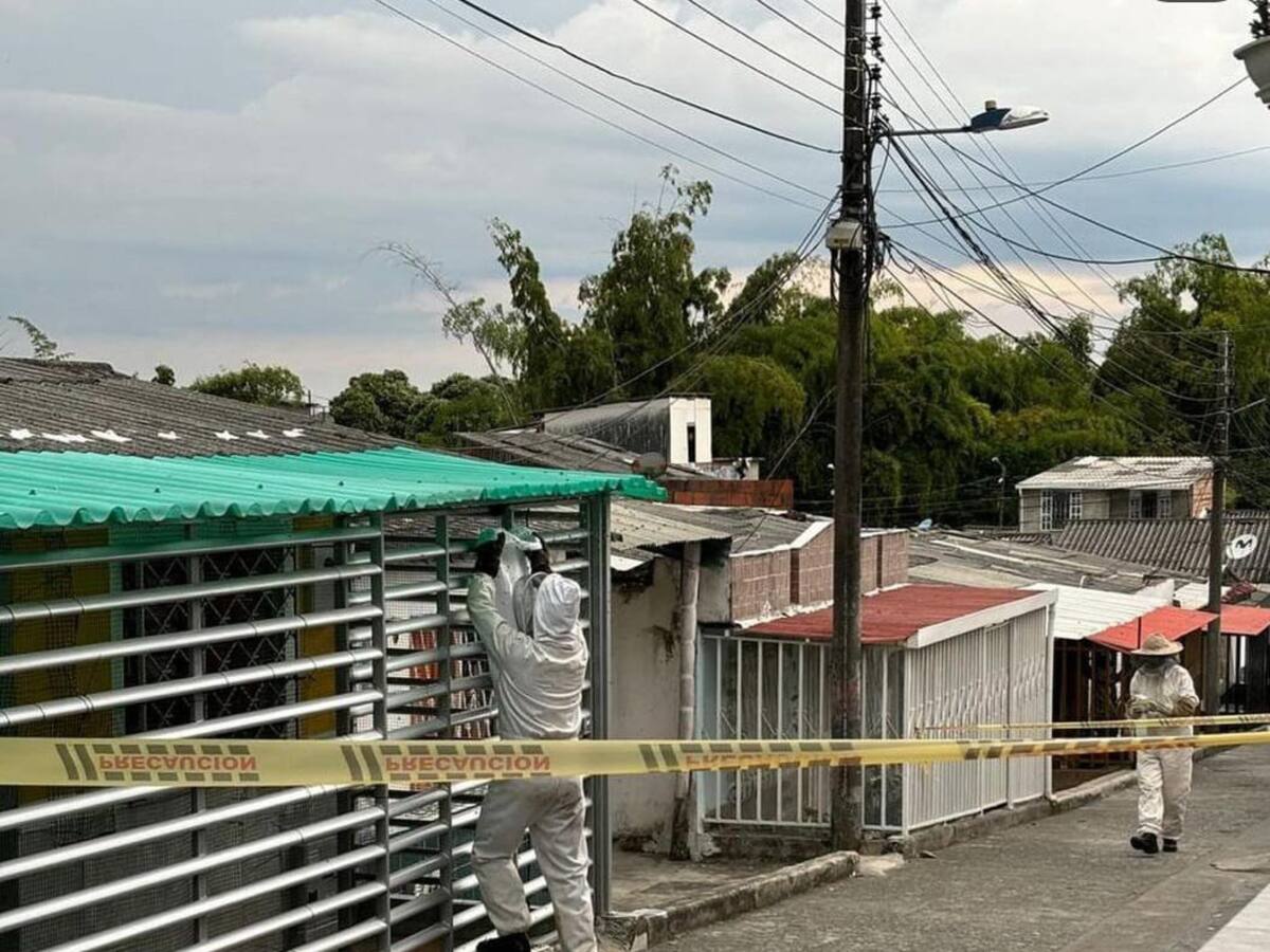 Varias novedades en Armenia por la presencia de abejas durante el fin de semana