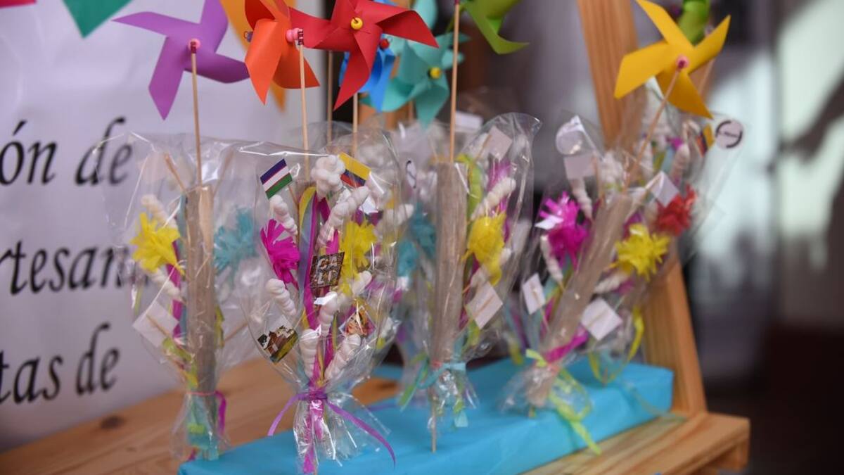 Programación del Festival de Macetas 2024 en Cali del 29 de junio al 1 de julio