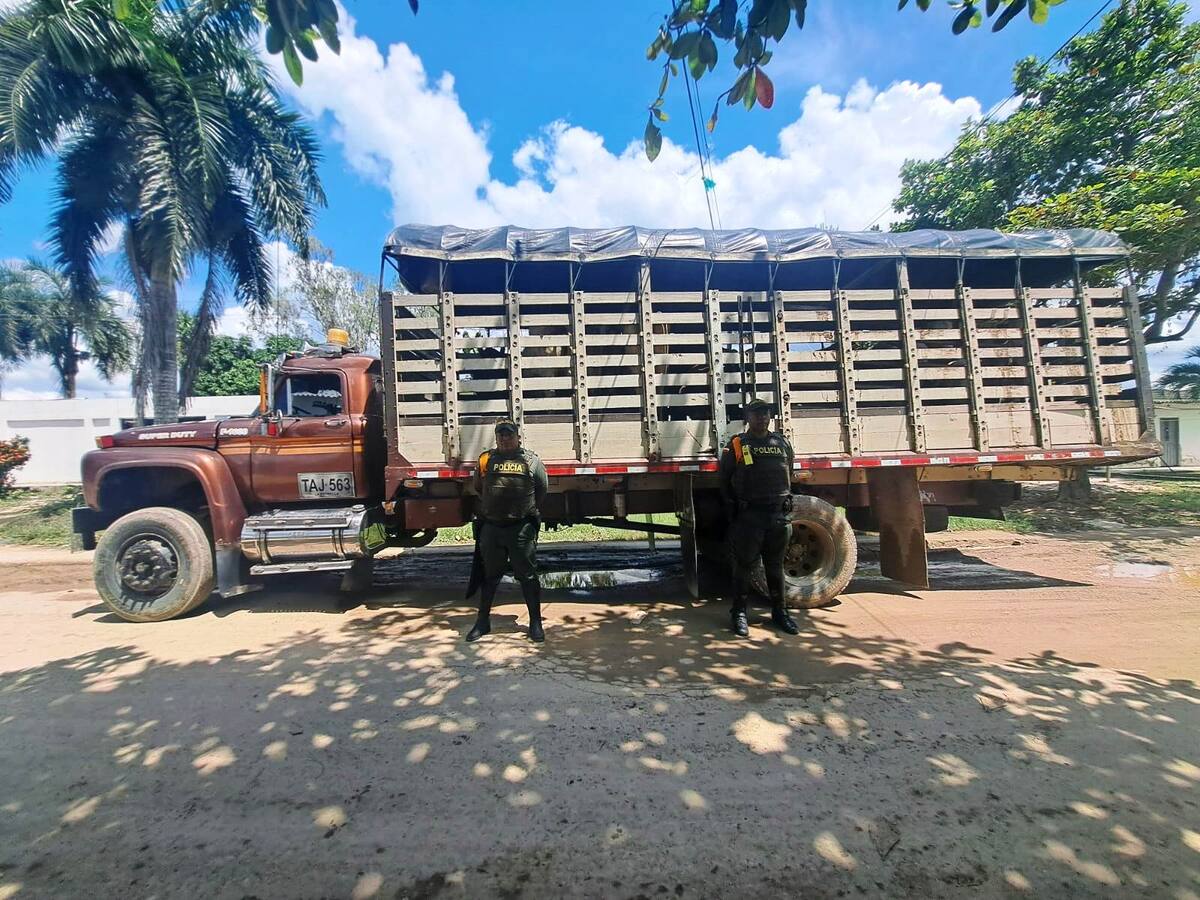 En Bolívar incautaron 12 semovientes por irregularidades en la documentación