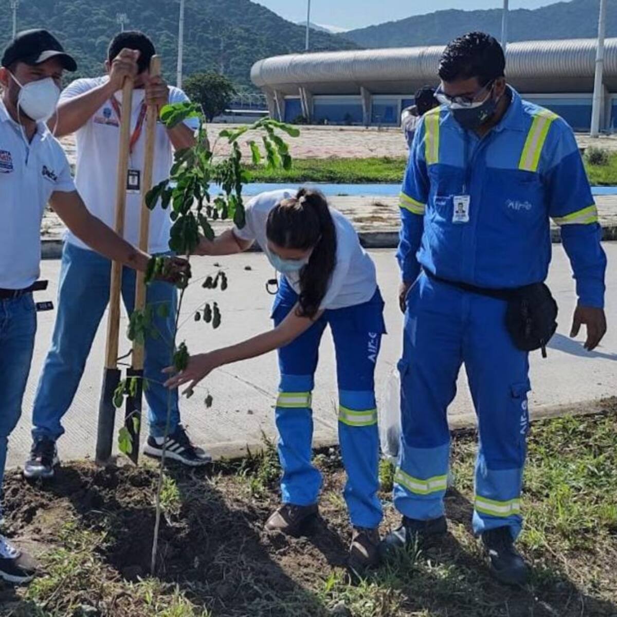 Siembra árboles e instala paneles solares para conservar el medio ambiente