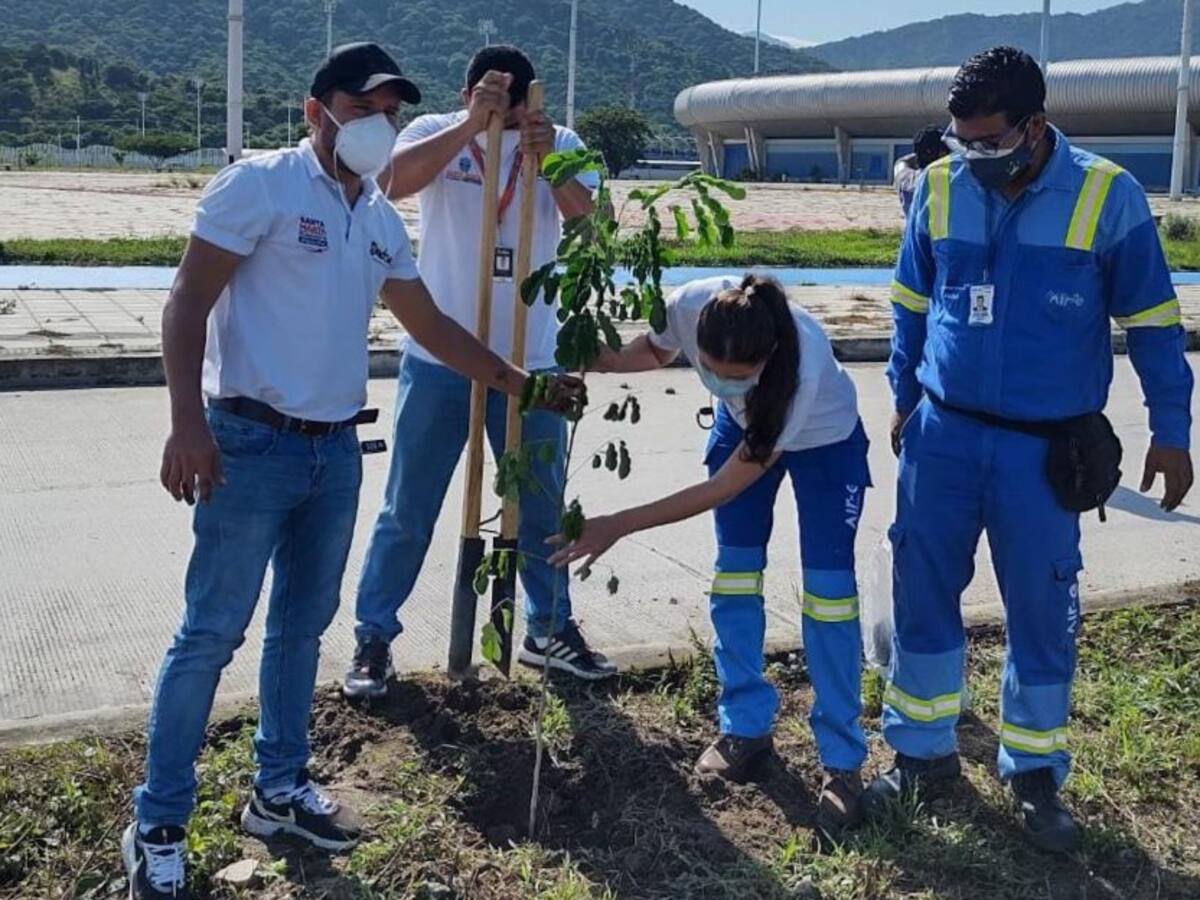 Siembra árboles e instala paneles solares para conservar el medio ambiente