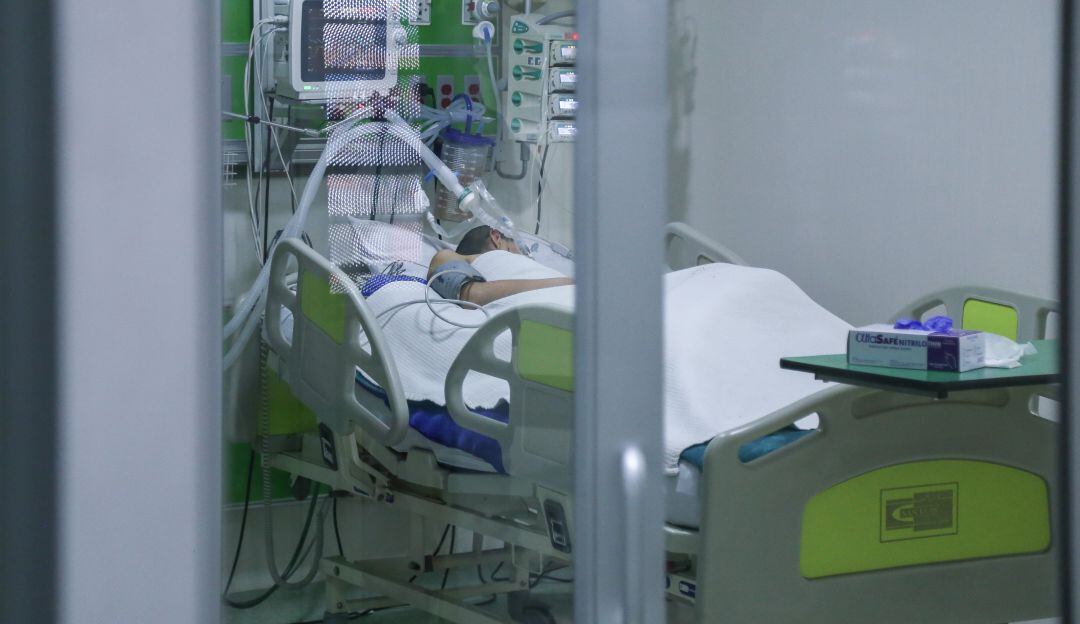 Imagen de referencia