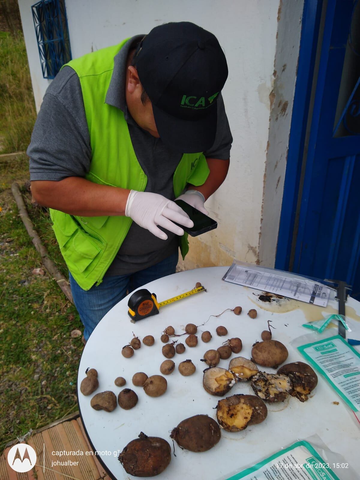 Un agricultor de Boyacá denunció a la empresa Comestibles Ricos S.A. (Super Ricas) por entregar semillas de papa contaminadas con virus y hongos, lo que arruinó su cultivo y afectó gravemente el suelo. La empresa se desliga de responsabilidades, mientras el agricultor enfrenta pérdidas económicas y anuncia acciones legales.