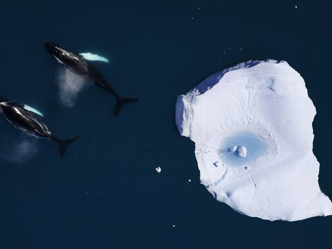 Reino Unido apoya jóvenes que enfrentar el cambio climático