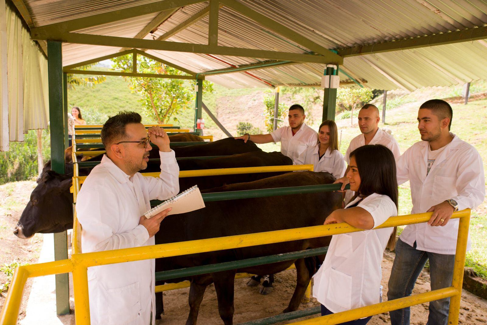 Buscan fortalecer carreras agropecuarias de Pereira - Archivo Unisarc.