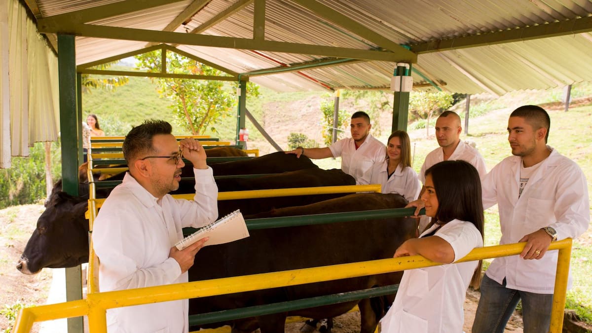 Jóvenes de zonas rurales de Risaralda podrán acceder a educación superior