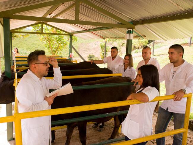 Buscan fortalecer carreras agropecuarias de Pereira - Archivo Unisarc.